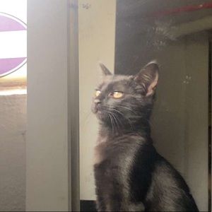 Meet your Posher, Bryanna